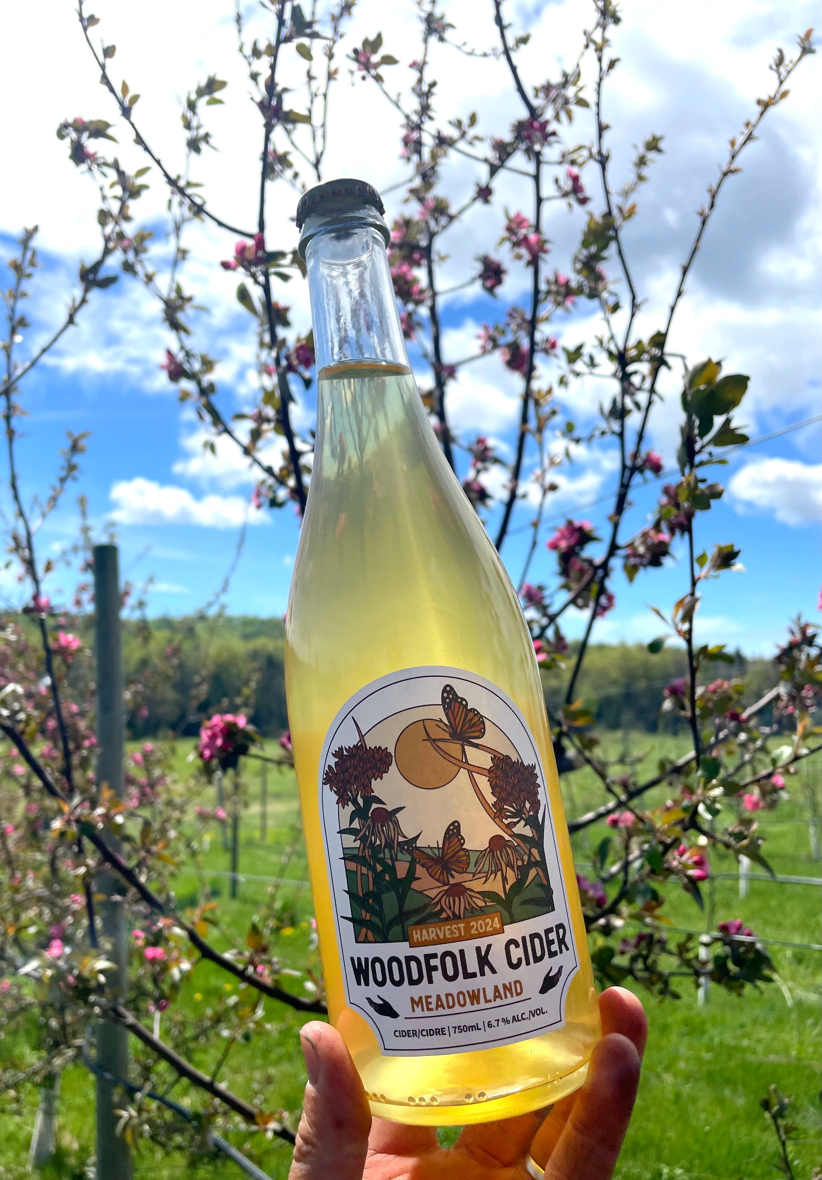 Meadowland Cider - Harvest 2024