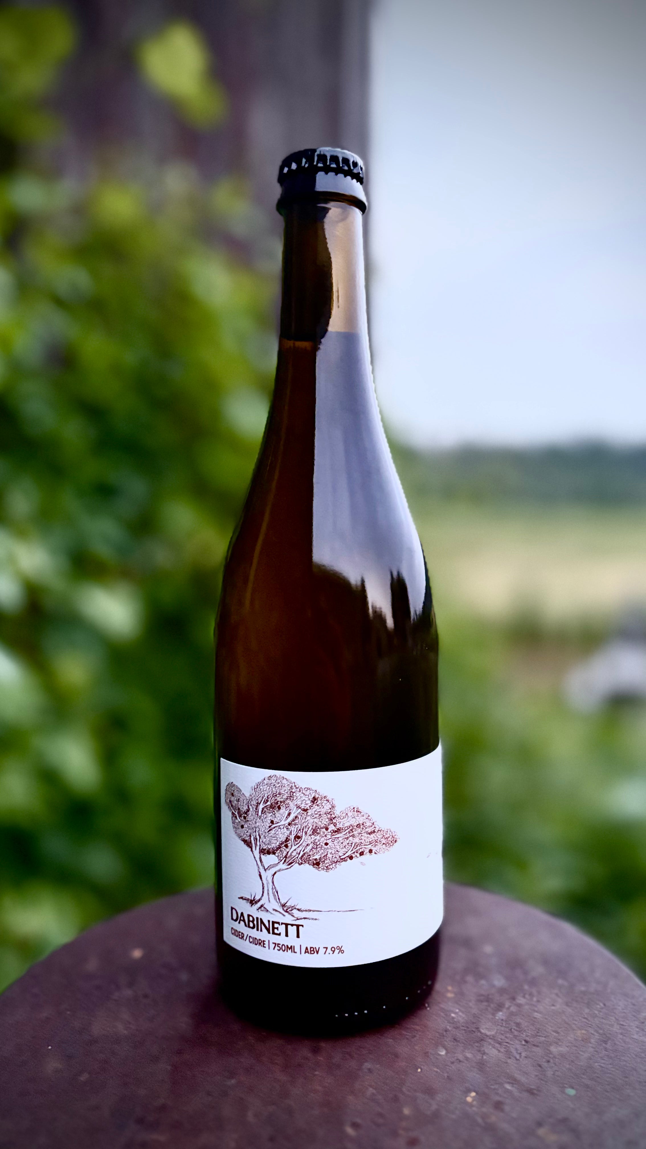 Dabinett Cider