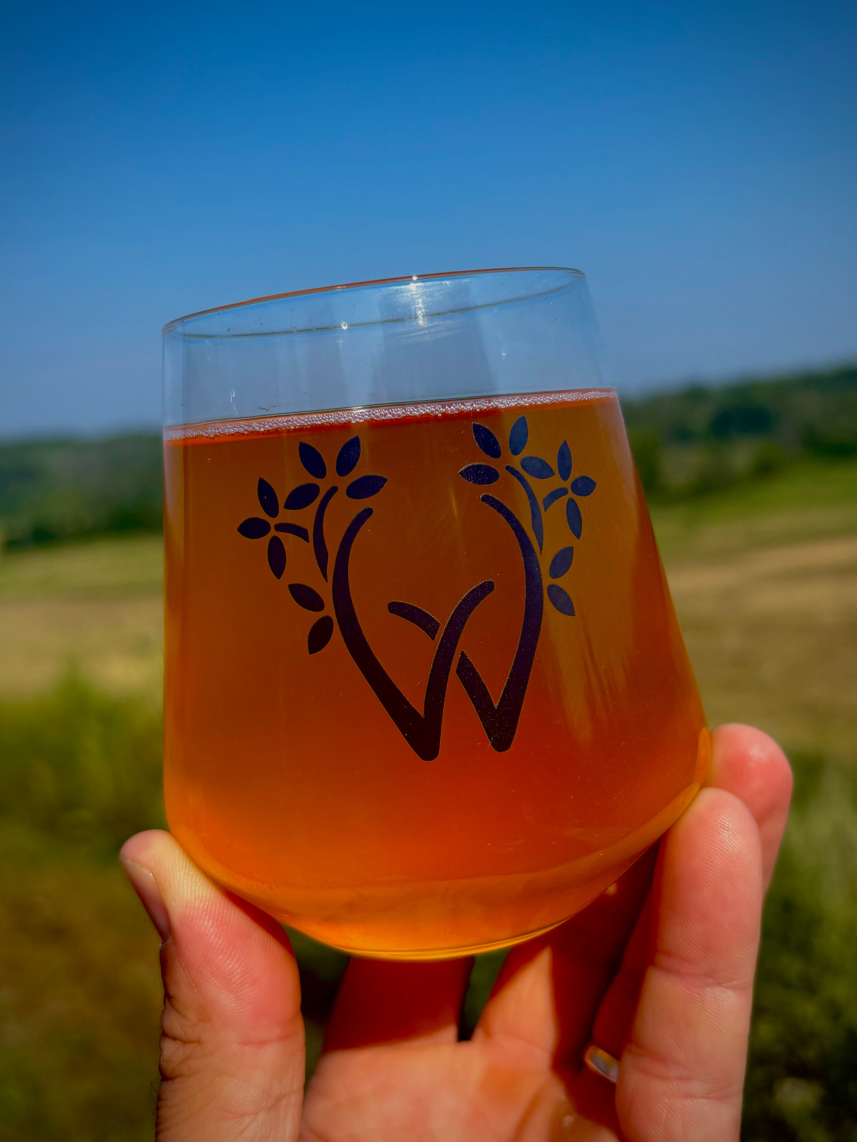 Stemless Cider Glass (14oz)