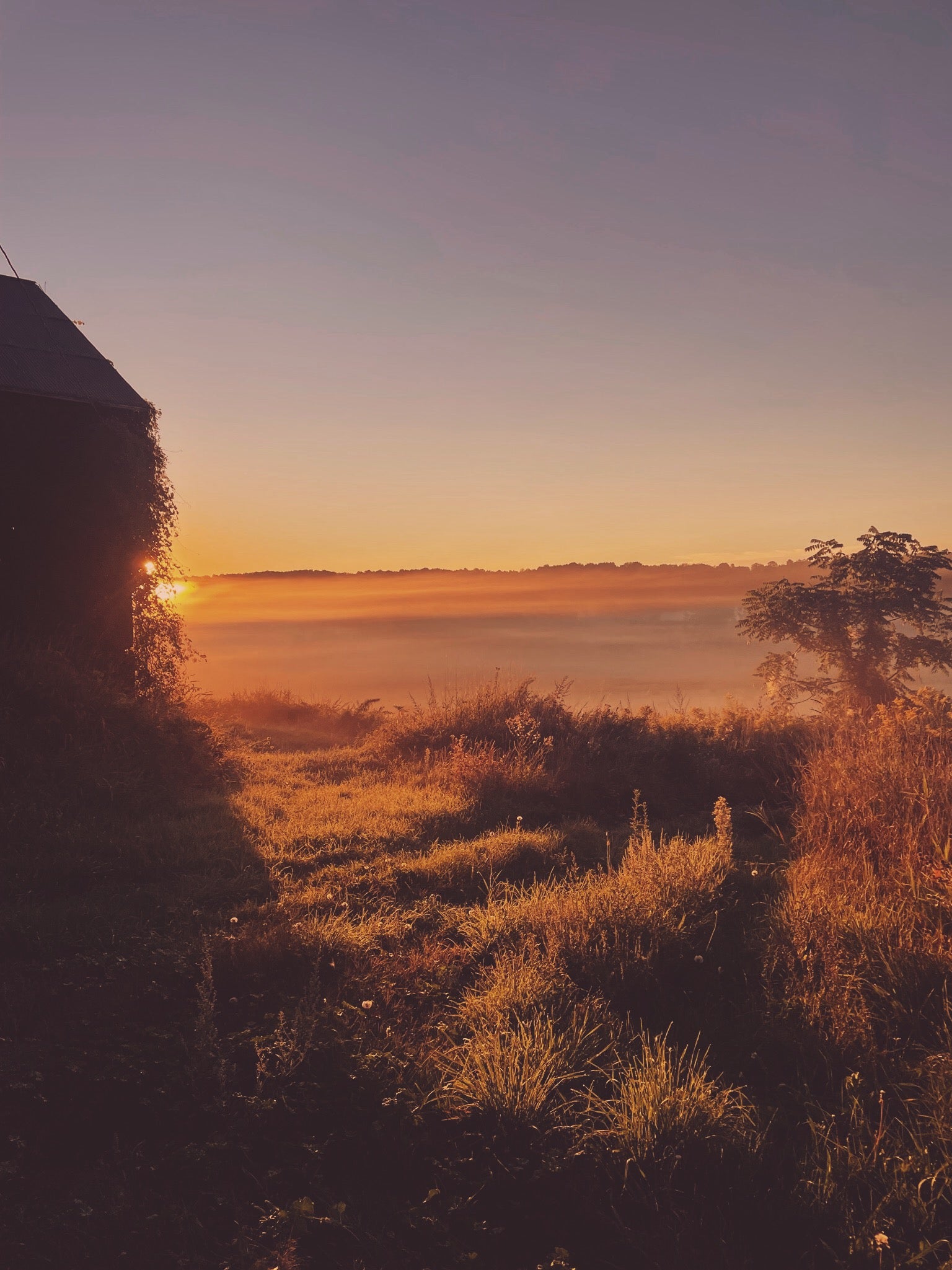 Contact Woodfolk Cider