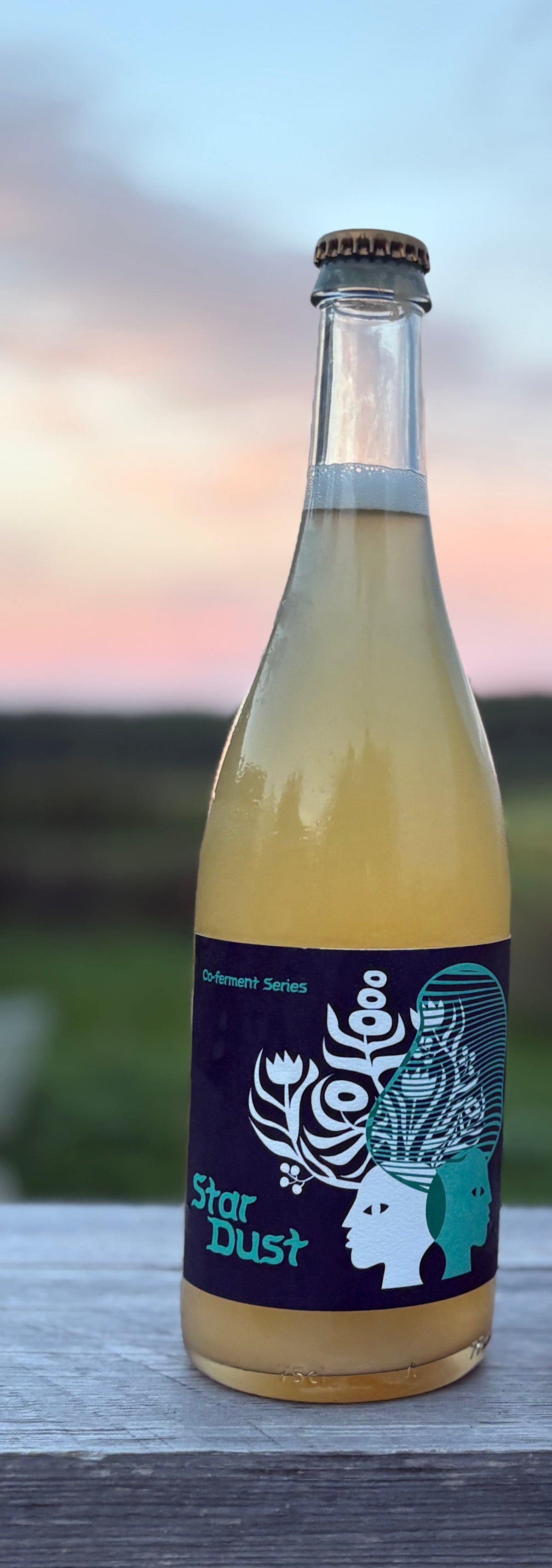 Star Dust Cider 2025