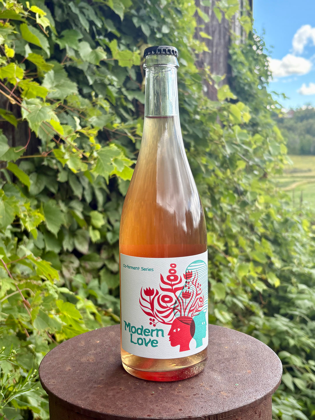 Modern Love Cider 2025
