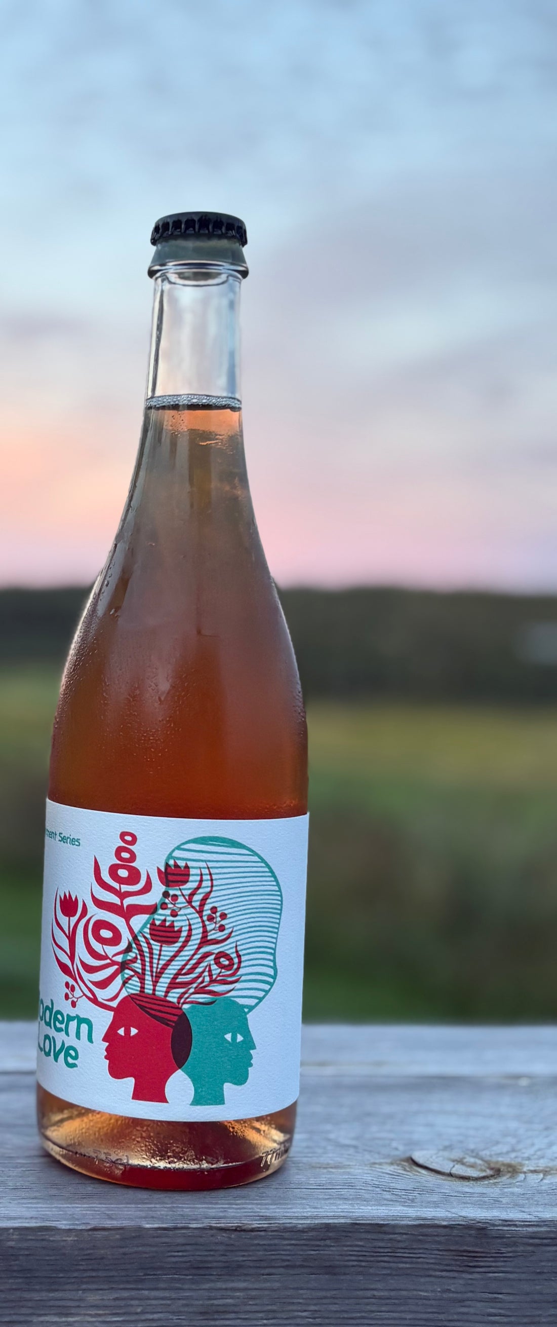 Modern Love Cider 2025