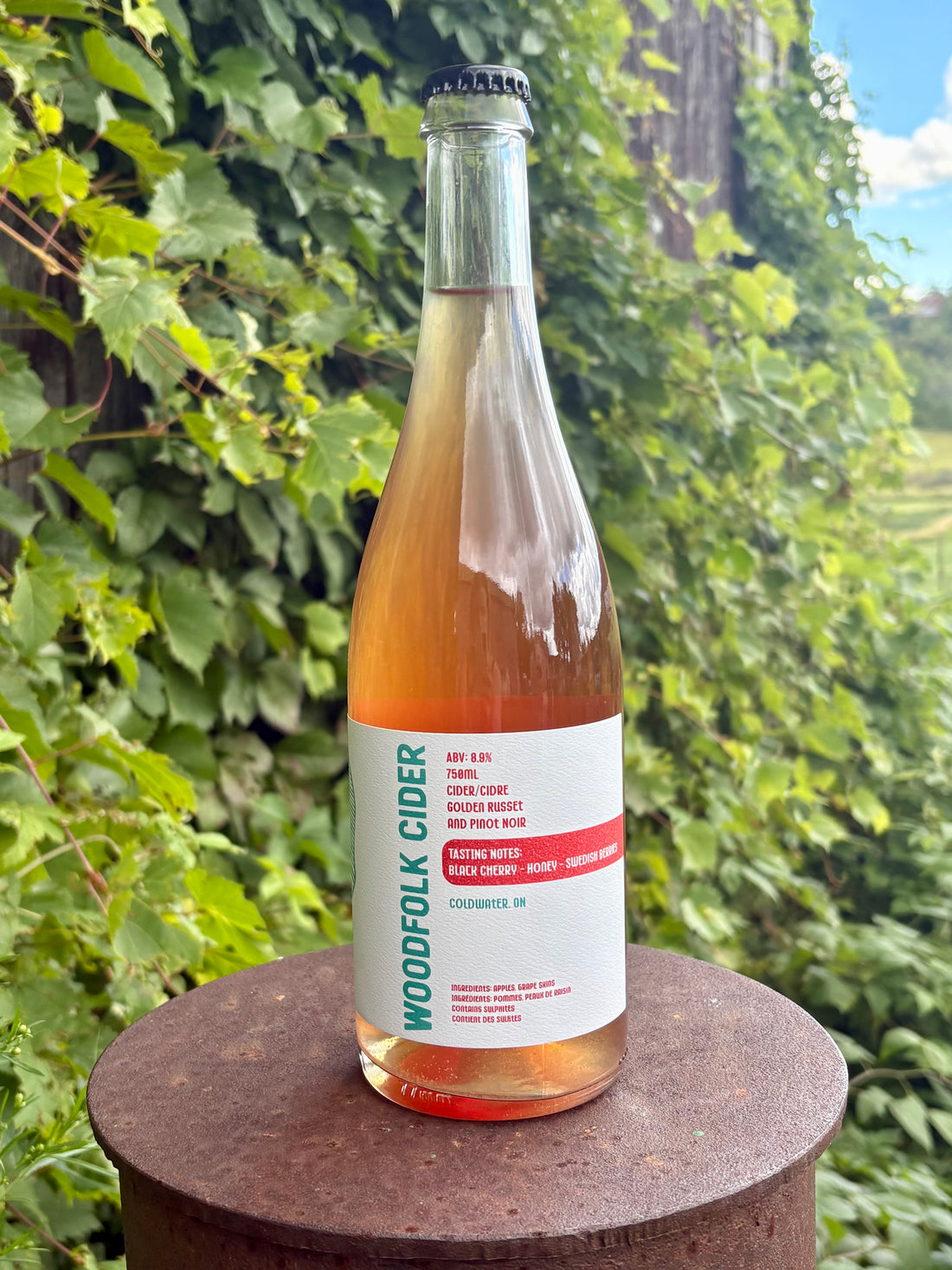 Modern Love Cider 2025