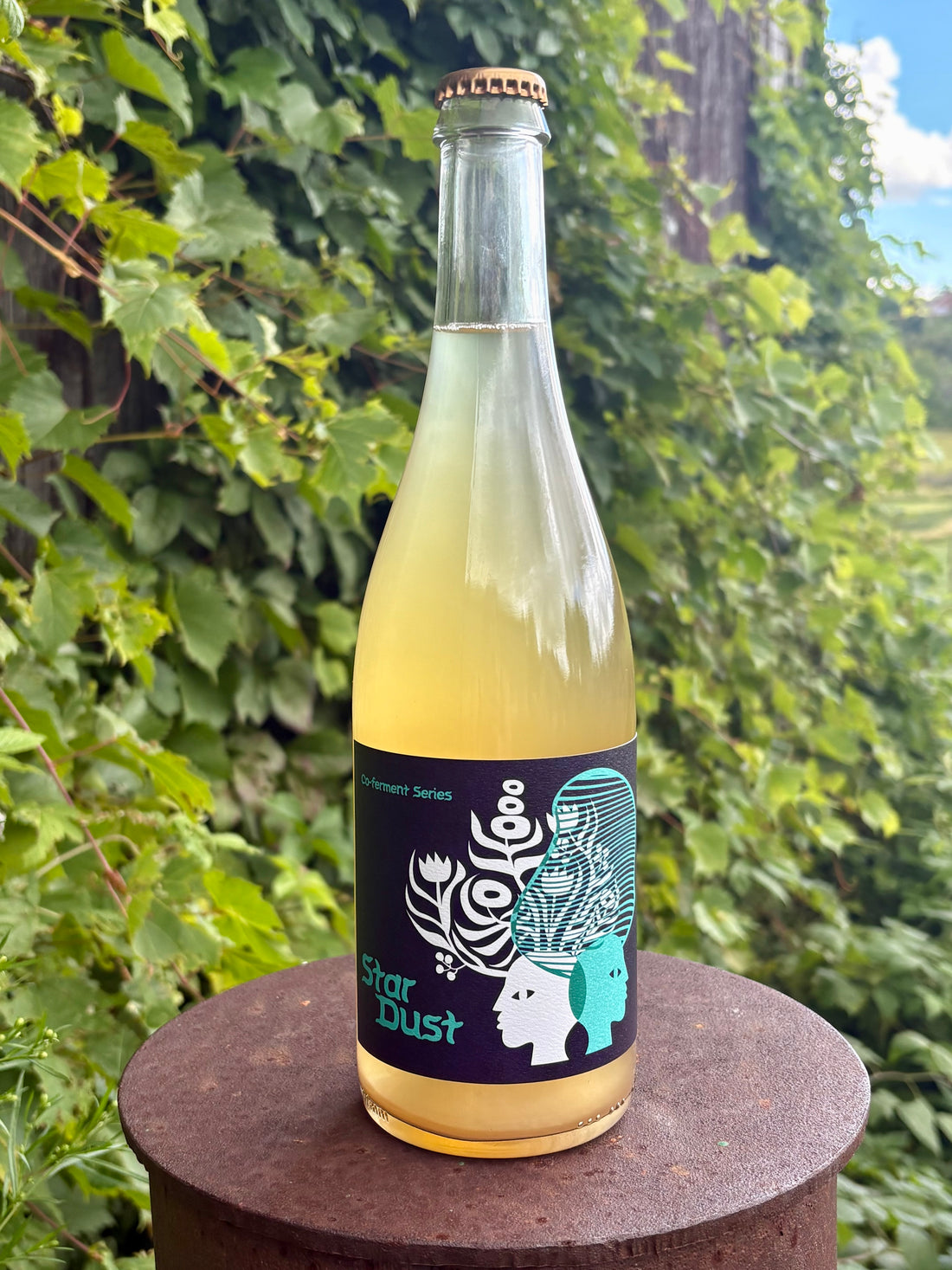 Star Dust Cider 2025