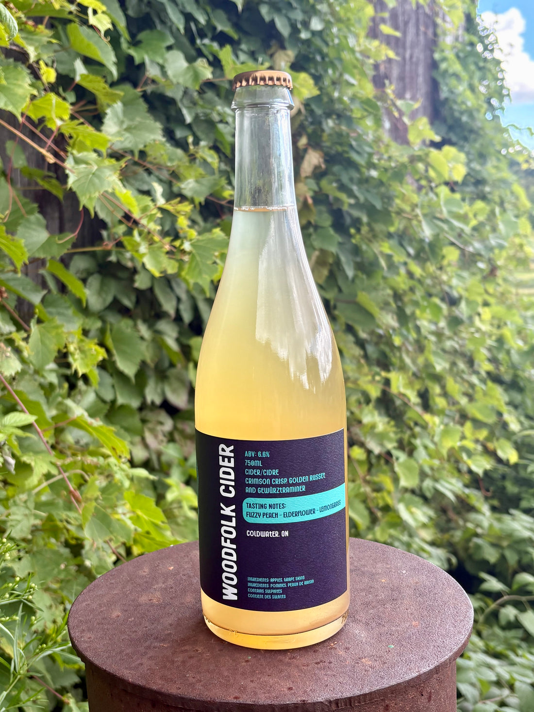 Star Dust Cider 2025