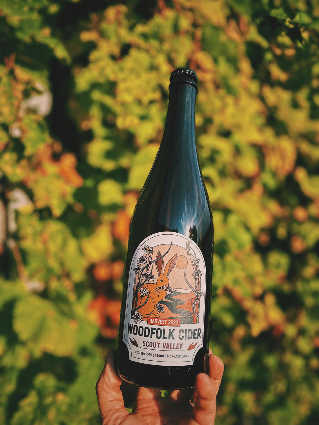 Scout Valley Cider