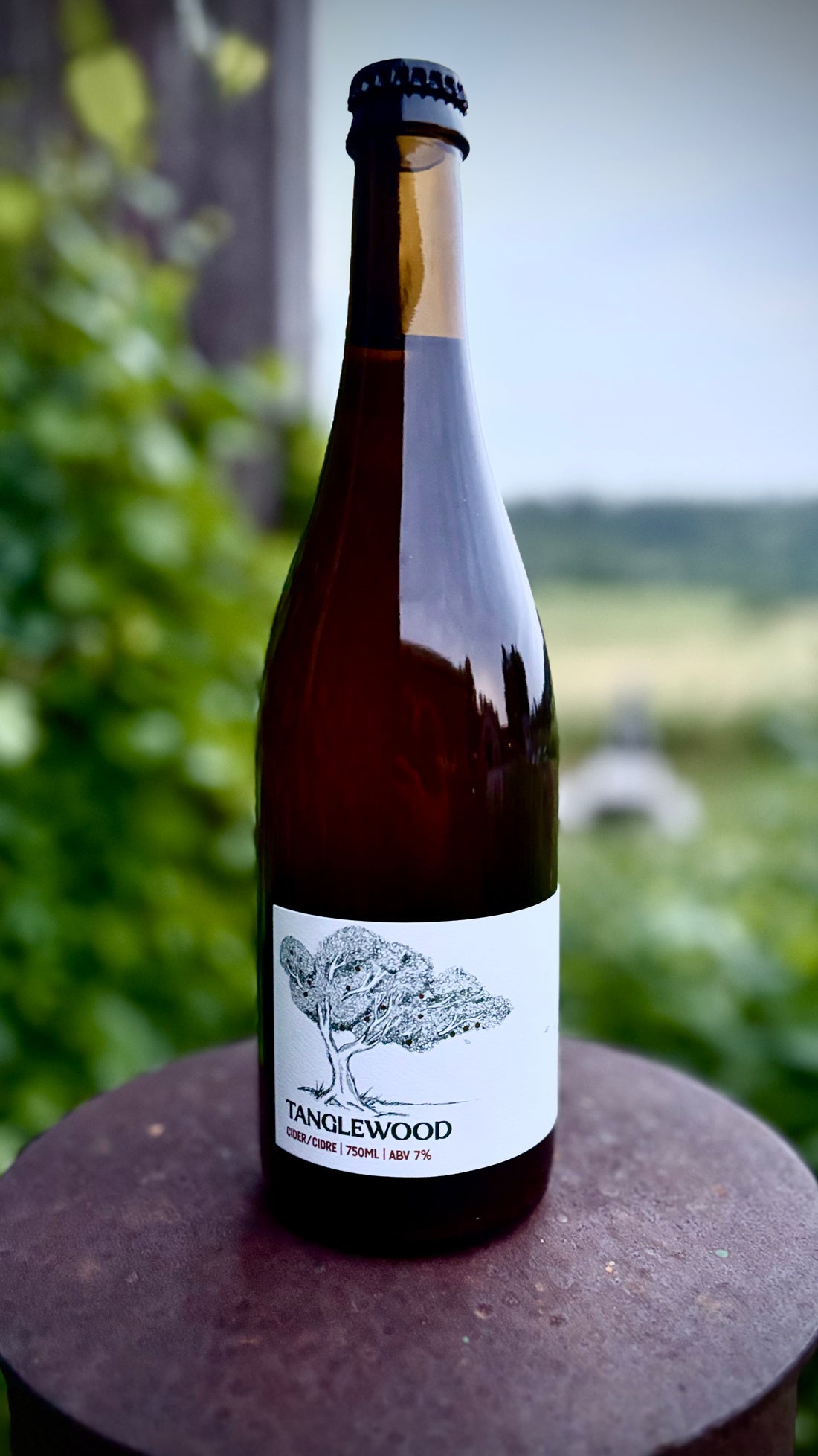 Tanglewood Cider