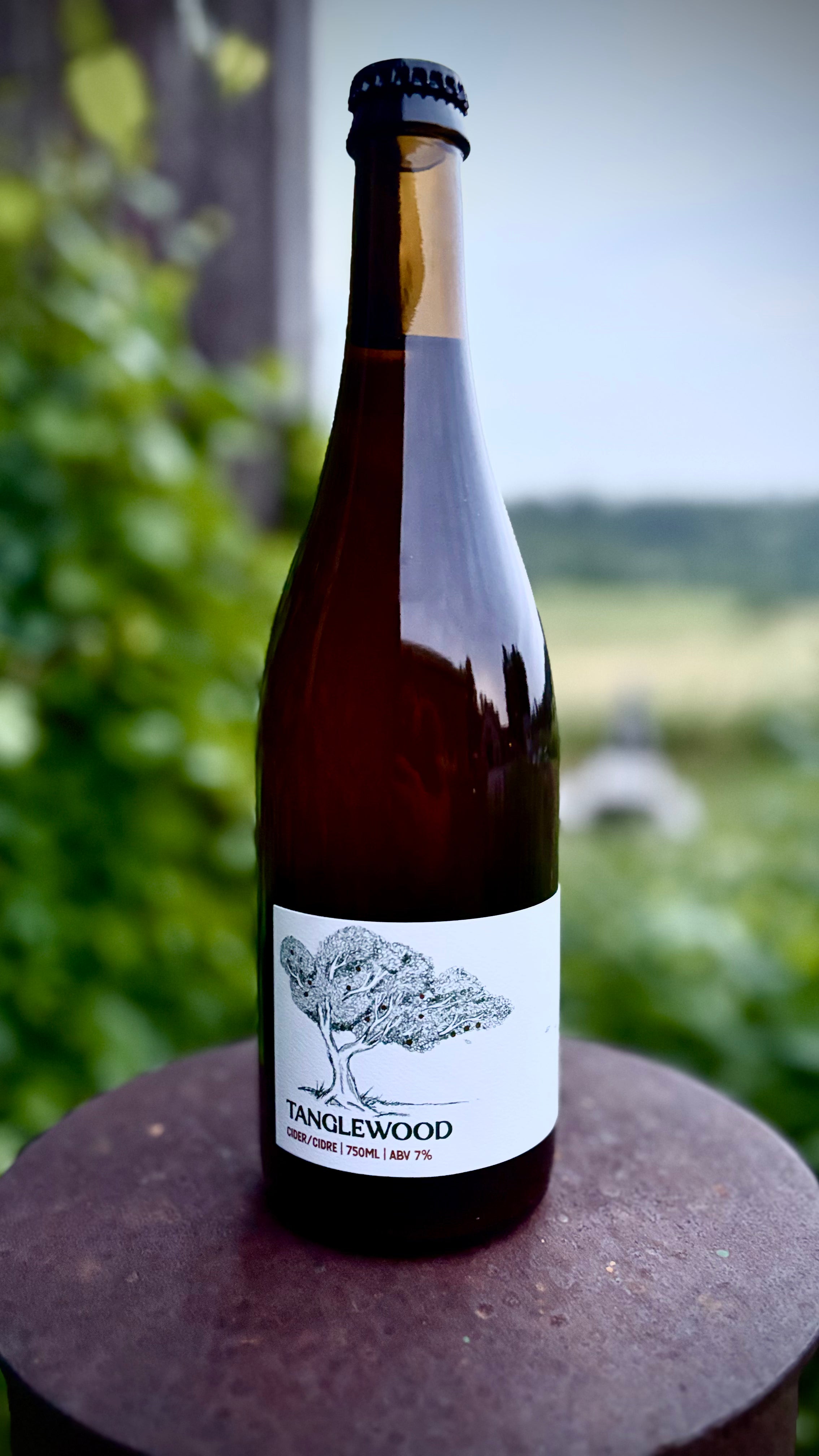 Tanglewood Cider