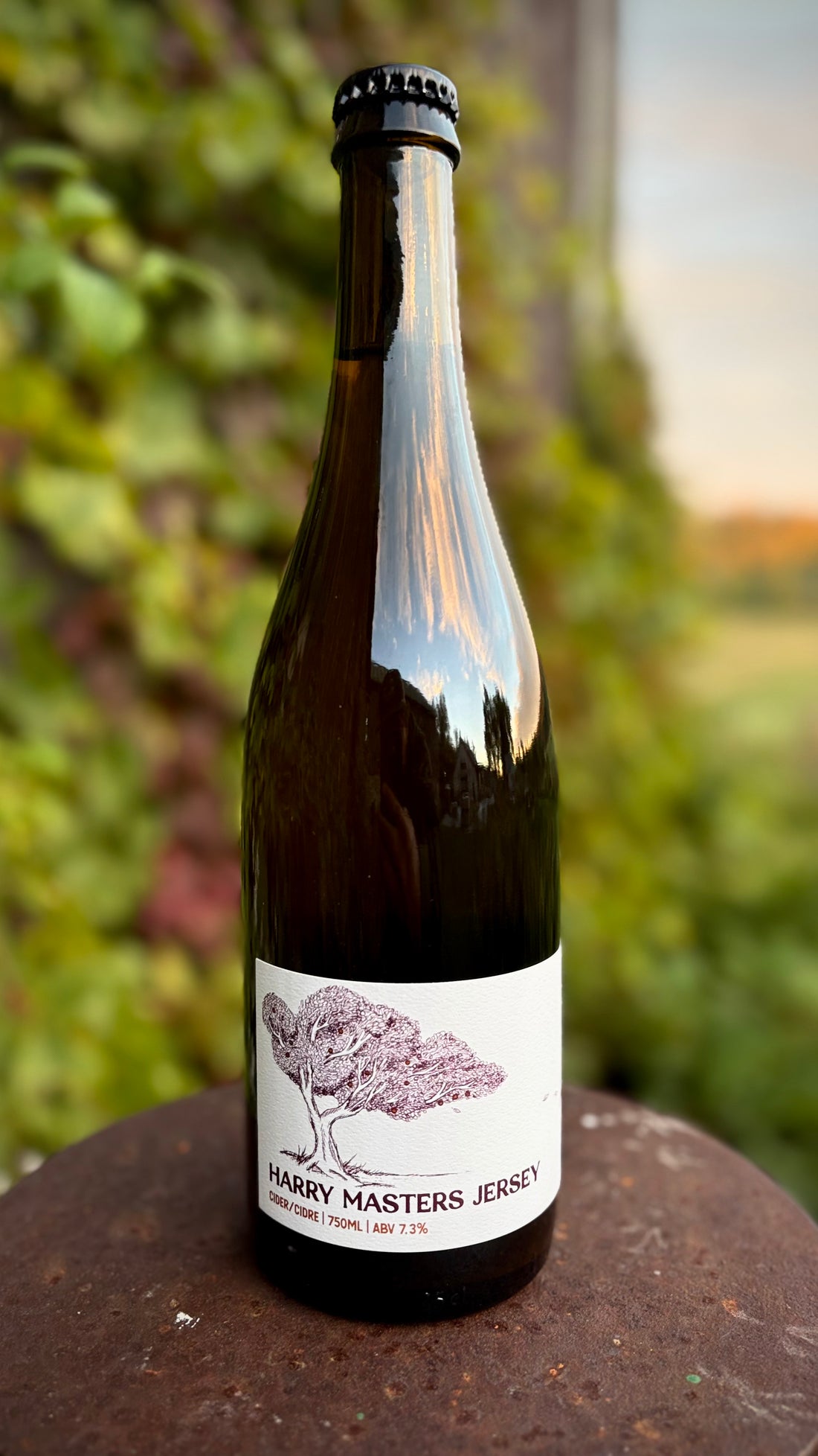 Harry Master’s Jersey Cider