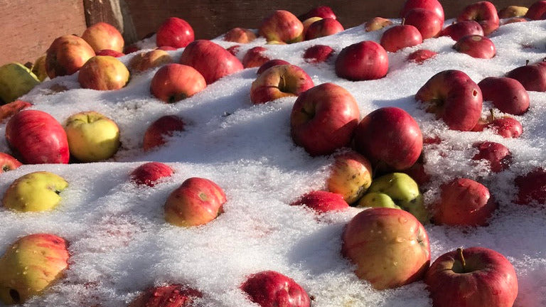 Apples on a snowy surface with a wooden box in the background