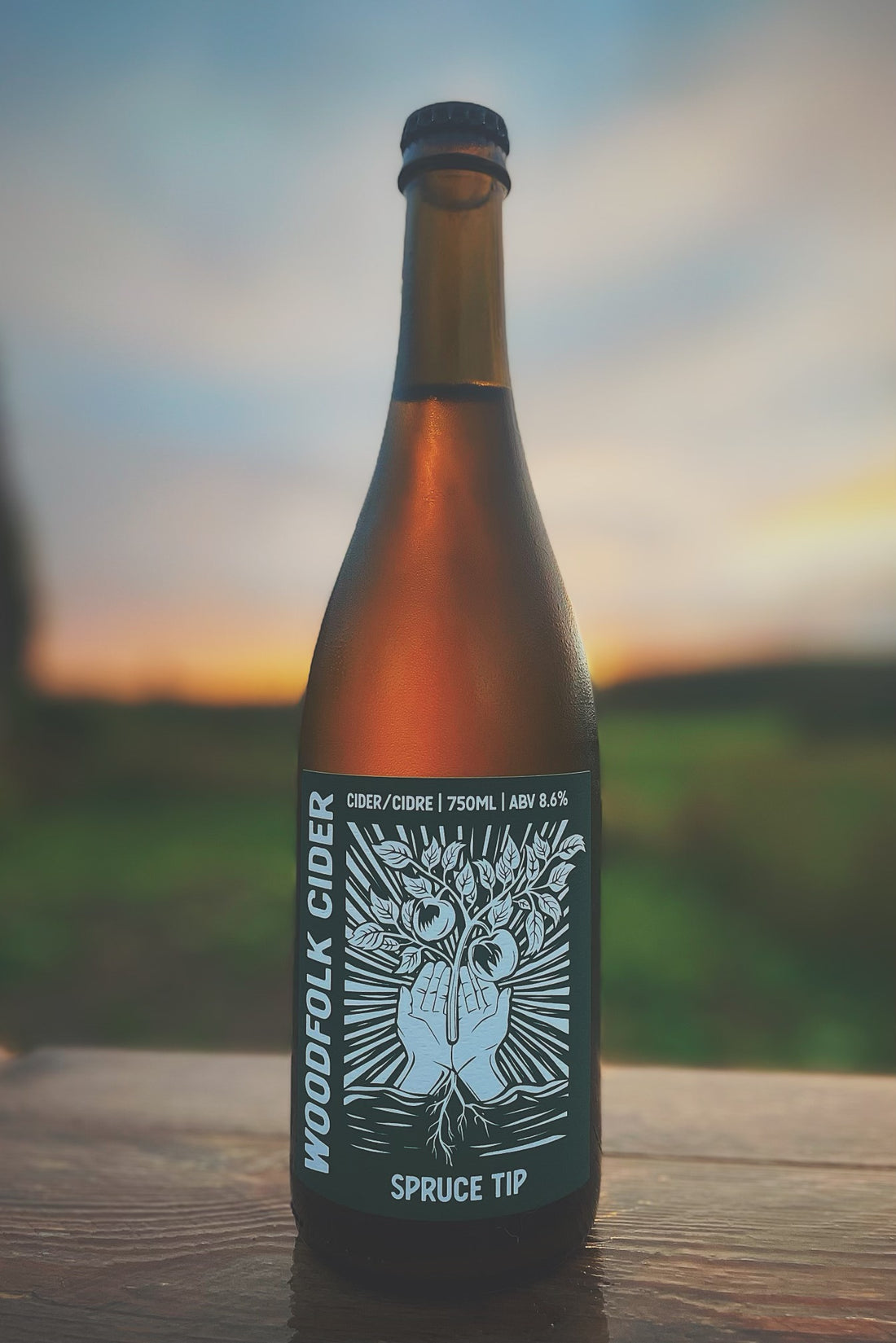 woodfolk spruce tip cider at sunrise